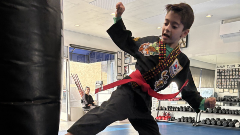 kids martial arts program